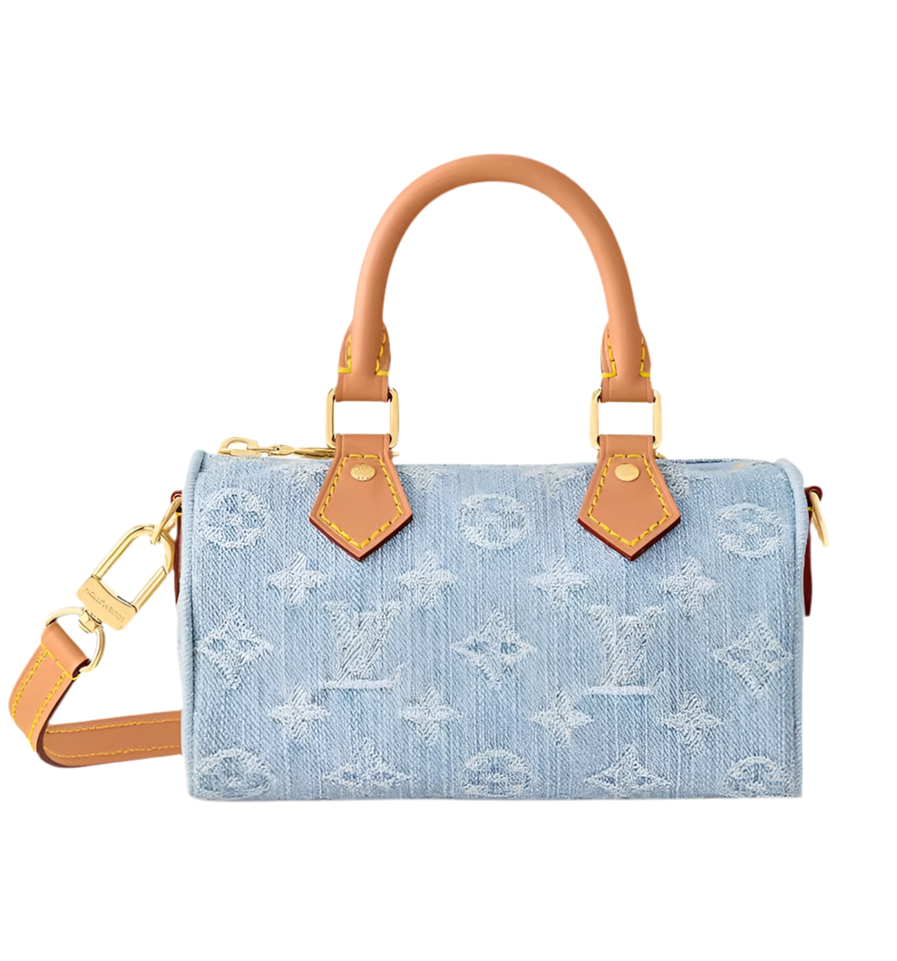 Louis Vuitton Nano Speedy