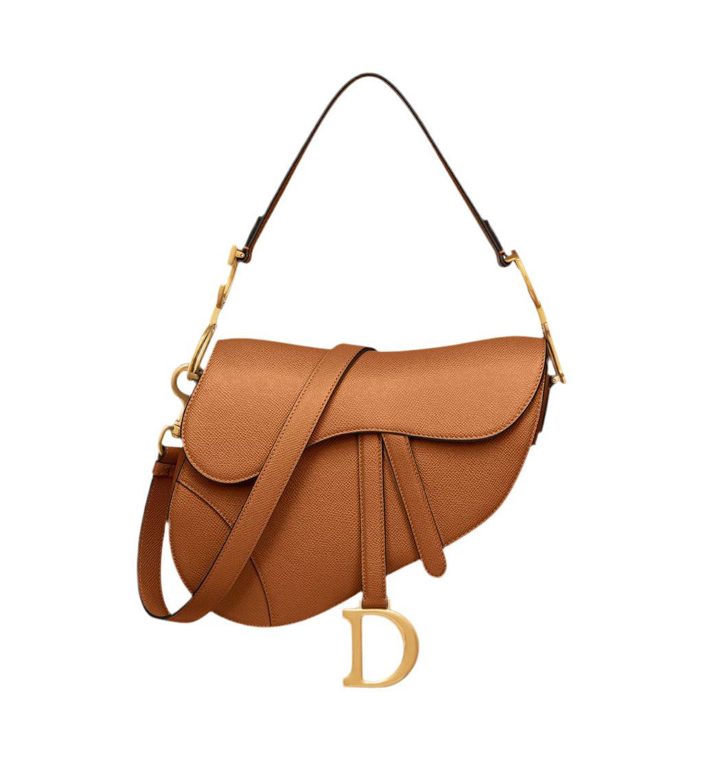Dior Sattle Bag